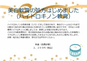 ハイドロキノン軟膏 JPEG_page-0001